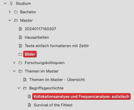Screenshot Zettlr: Shows the folder structure for master's studies documents